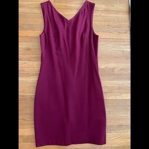 Aritzia Babaton Sheath Dress